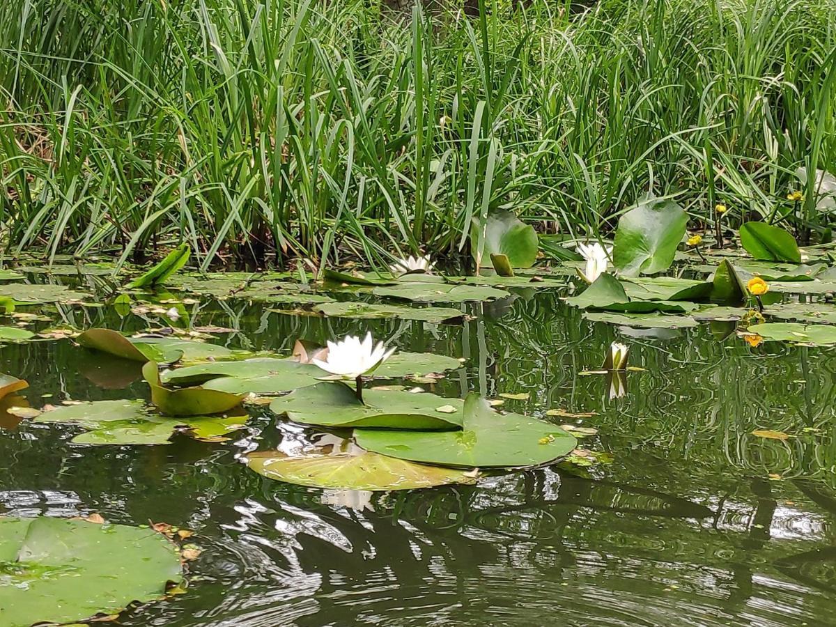 Agroturystyka Chycina 外观 照片