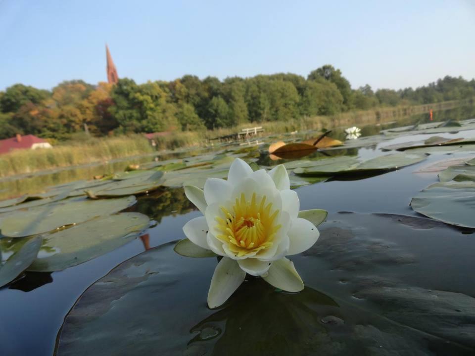Agroturystyka Chycina 外观 照片